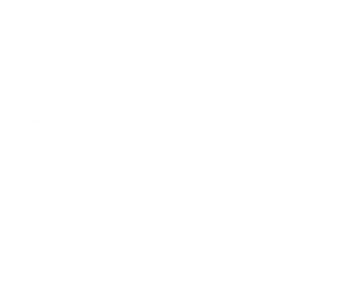 PERFECT WORLD